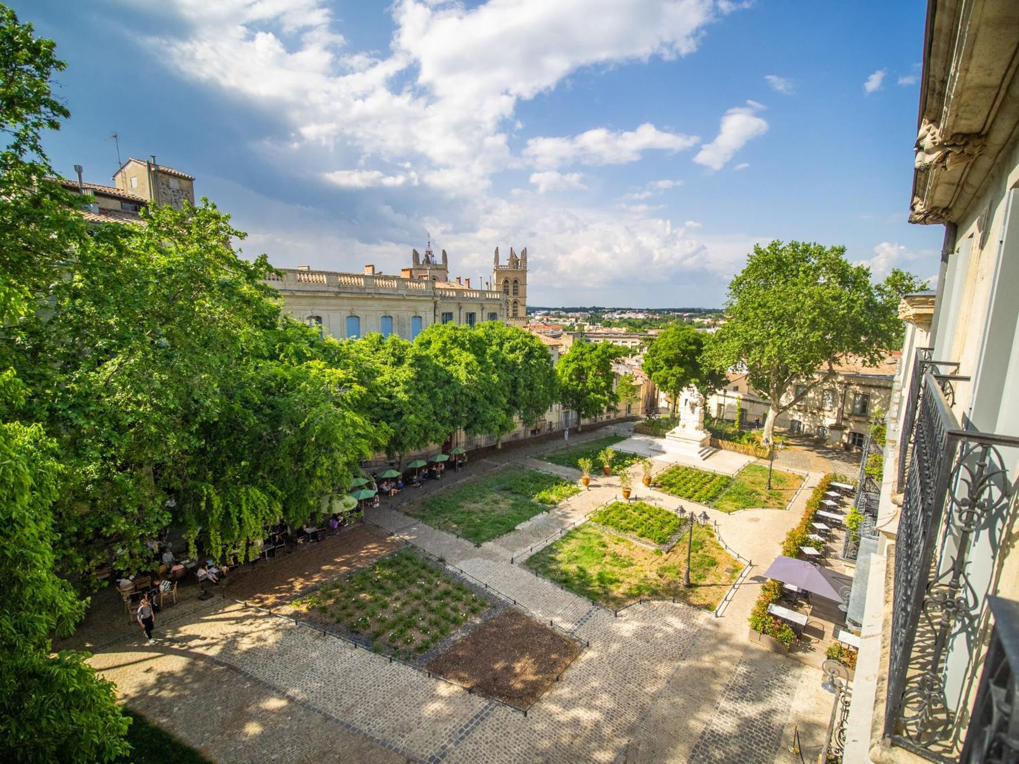 Le Platane De La Canourgue Montpellier Exterior photo