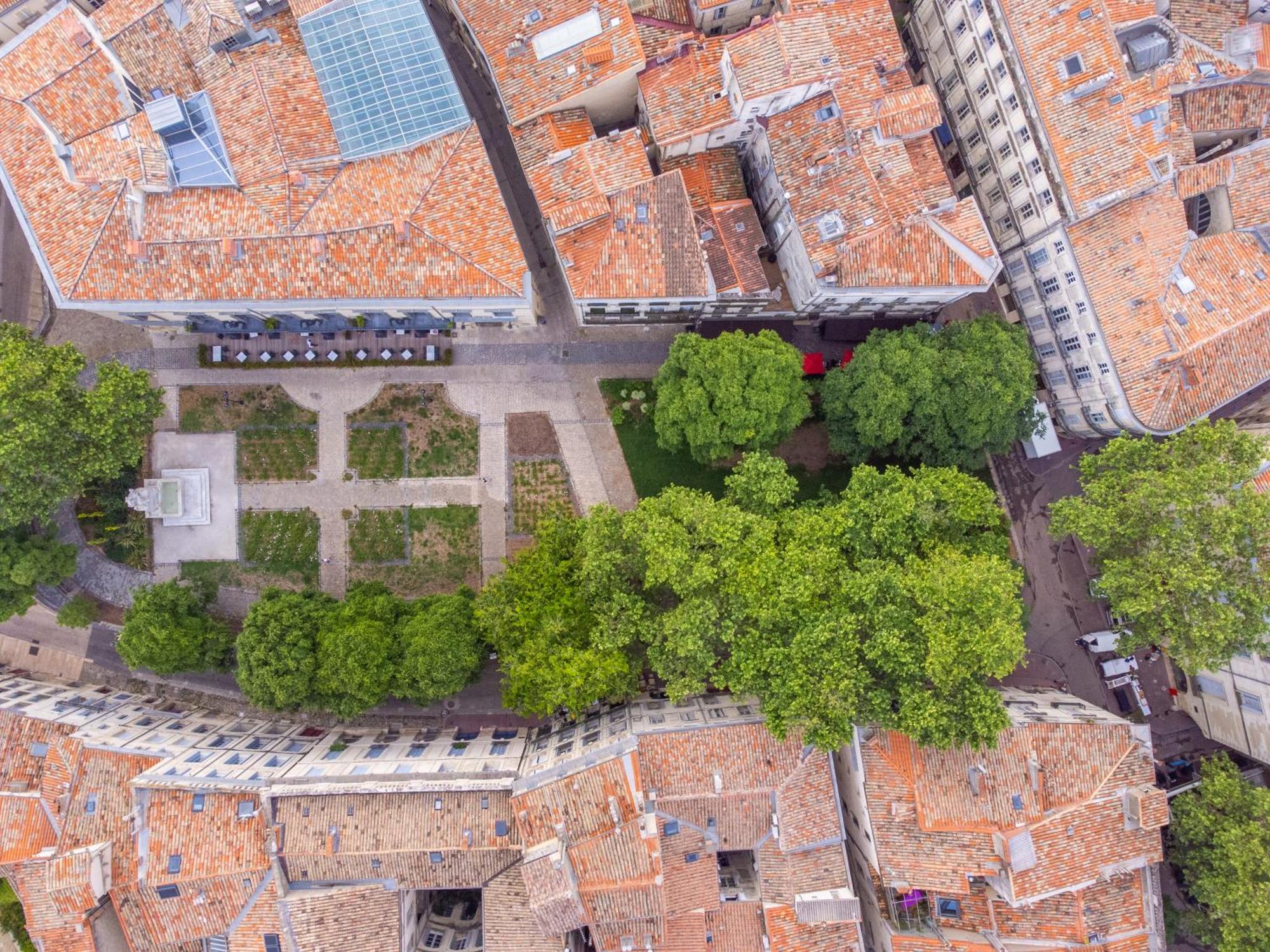 Le Platane De La Canourgue Montpellier Exterior photo